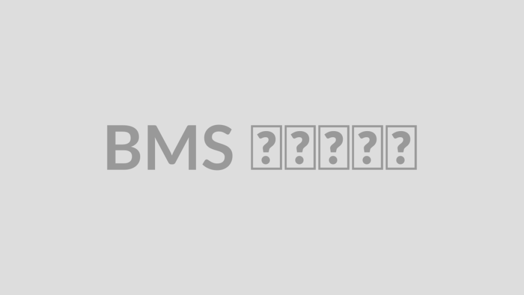 BMS چیست؟